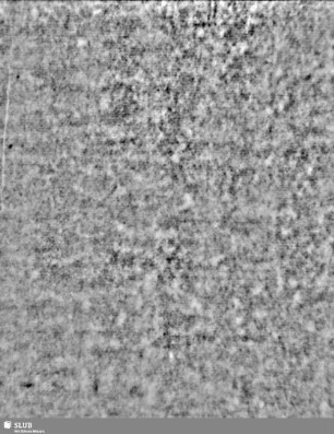 Lilienschild + IESV / LW = Bd.2,S.19/20