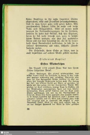 Siebentes Kapitel: Erstes Wiedersehen