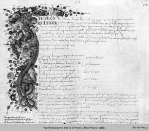 Initiale in Form eines Drachen mit Greifenkopf