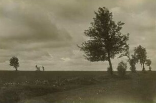 AAltenberg-Schellerhau. Landschaft im Sturm bei Schellerhau
