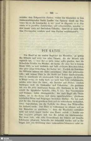 Die Katze