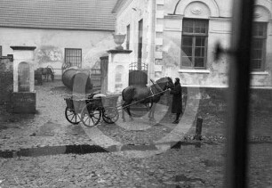 Pferdefuhrwerk auf Oesel