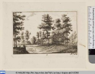 Wiese mit Baumgruppen