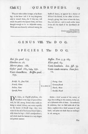 Genus VIII. The Dog