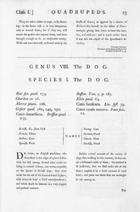Genus VIII. The Dog