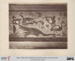 Mosaïque: maison du faune: Pompei