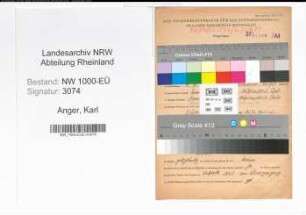 Entnazifizierung Karl Anger, geb. 09.03.1901 (Angestellter)