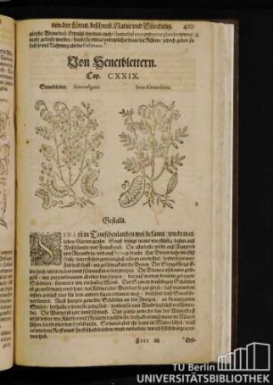 Cap. CXXIX. Von Senerblettern.
