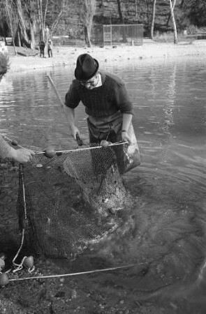 Fischsterben im Schwanensee des Stadtgartens