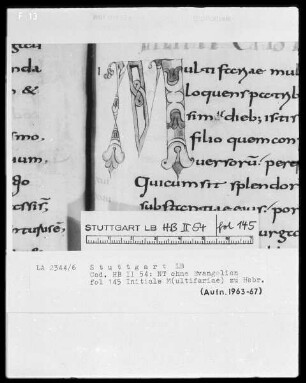 Bibliorum pars finalis, Pauli epistolae, Actus apostolorum, Epistolae canonicae, Apocalypsis — Initiale M(ultifariae), Folio 145recto
