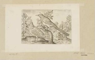 Elster und ein anderer Vogel, Blatt 28 der Folge "Vögel"