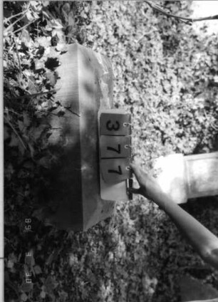 Grabstein 377 (Index: 99791978) Zustand: Fragment Besonderheit: kein Formblatt vorhanden: Grabstein 377