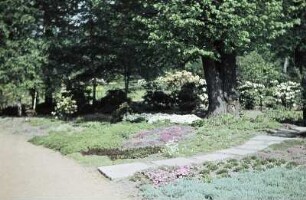 Dresden. Großer Garten. Parkteil mit Blumen und Sträuchern