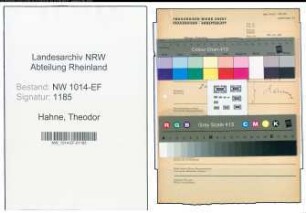 Entnazifizierung Theodor Hahne , geb. 00.00.0000 ()