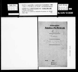 Das Verhalten der Lehrer in Mannheim während der Revolution