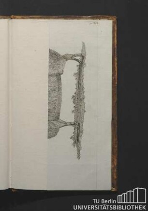 Tab. VII. p. 492. Southdown 169. 1b.