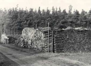 Holzkohlenherstellung in Rietschen, Meilerplatz : Handwerkstechniken - Kohlen- und Pechbrennerei. Ort: Rěčicy / Rietschen. Meilerplatz (Außenansicht)