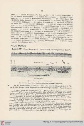8: Leer i. W. (Amt Horstmar), Gräberfeld karolingischer Zeit