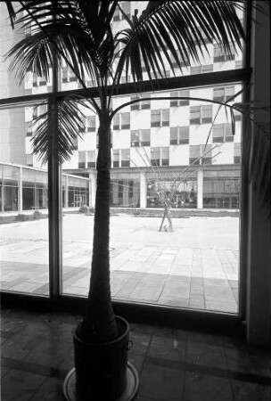 Berlin: Hiltonhotel; Außenfassade durch Hallenfenster und Palmen