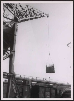 Ausladen von Vieh am Überseehafen Bremen