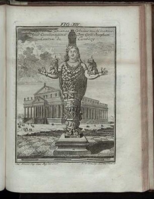 Fig. XIV.