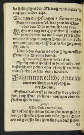 Folgen nun etliche gemeine unterweisung von propffen der Beume.