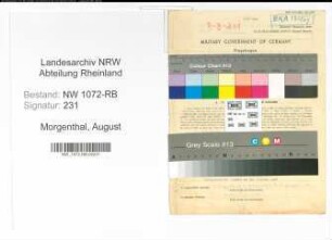 Entnazifizierung August Morgenthal , geb. 04.07.1896 (Haendler)