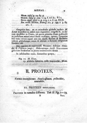 II. Proteus.