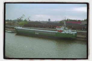 Danubia (1984), Frachtschiff, RNO, Duisburg, Bau-Nr. 129