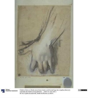 Studie einer linken Hand, wohl für die Figur der Jungfrau Maria (im Gemälde der Heimsuchung Mariens in der Chiesa Nuova in Rom)