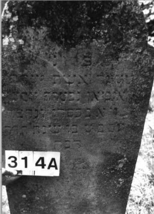 Grabstein 314 (Index: 100085228) Maße HxBxT: 143x56x12 cm Beschreibung: Stele, eingezogener Rundbogenabschluß, Schriftfeld eingetieft: Grabstein 314A