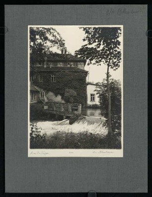 31, Aus Blaubeuren. (Nr. 3320).