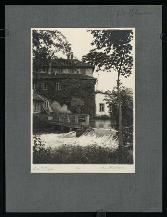 31, Aus Blaubeuren. (Nr. 3320).