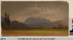 Wiesenlandschaft mit Gebirge im Hintergrund