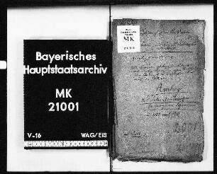 Amberg. Das Lateinschulwesen (Errichtung eines Lyceums).