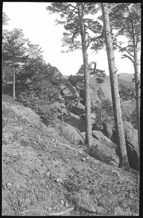 Ilsenburg. Westerklippen