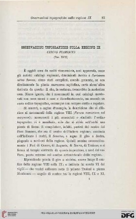 13: Osservazioni topografiche sulla regione X : circus flaminius