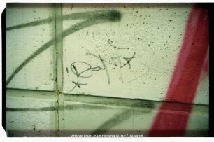 *!DaNE*