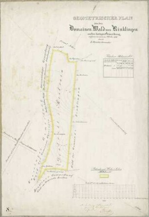 Geometrischer Plan über den Domainen-Wald von Rinklingen auf dortiger Gemarkung