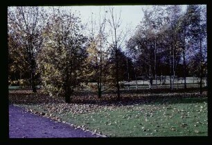 Tiergarten 30.10.65.