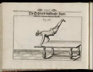 Die Sechs und funffzigste Figur. - Die Sechzigste Figur.