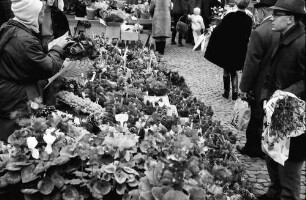 Freiburg: Marktstand mit Adventskränzen