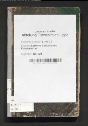 Namensregister zum Salbuch der Stadt Blomberg von 1863 (Duplikat)
