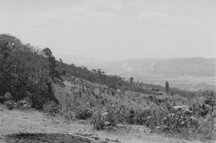 Wildgartenlandschaft (Äthiopienreise 1937/1938 - 3. Fahrt: von Addis Abeba nach Mogadischu und zurück)