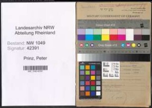 Entnazifizierung Peter Prinz , geb. 04.11.1891 (Arbeiter)