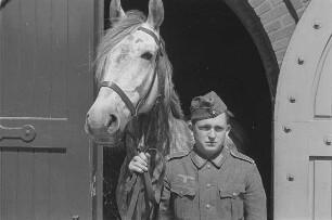 Zweiter Weltkrieg. Niederlande unter deutscher Besatzung. Wehrmachtsangehöriger, ein Pferd am Zügel aus dem Stall führend (wohl bei Den Haag)