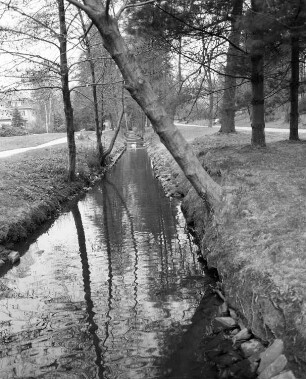 Bad Brambach. Kurpark. Blick entlang eines Baches