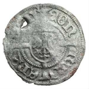 Fundmünze, 1/4 Schilling, Muter, 1497 - 1508