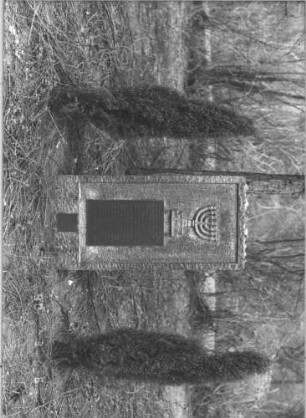 Grabstein 399 (Index: 99609123) Beschreibung: Stele, Schriftfeld eingetieft Symbolik: Menora Besonderheit: kulturhistorisch wertvoll / hist.-wiss. Gründe (Gedenkstein): Grabstein 399