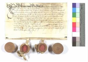 Wolfgang und Gottfried Grafen von Oettingen, Vettern, quittieren der Stadt Gmünd die auf Martini 1579 fällig gewesene Reichssteuer im Betrag von 270 Pfund Heller.
